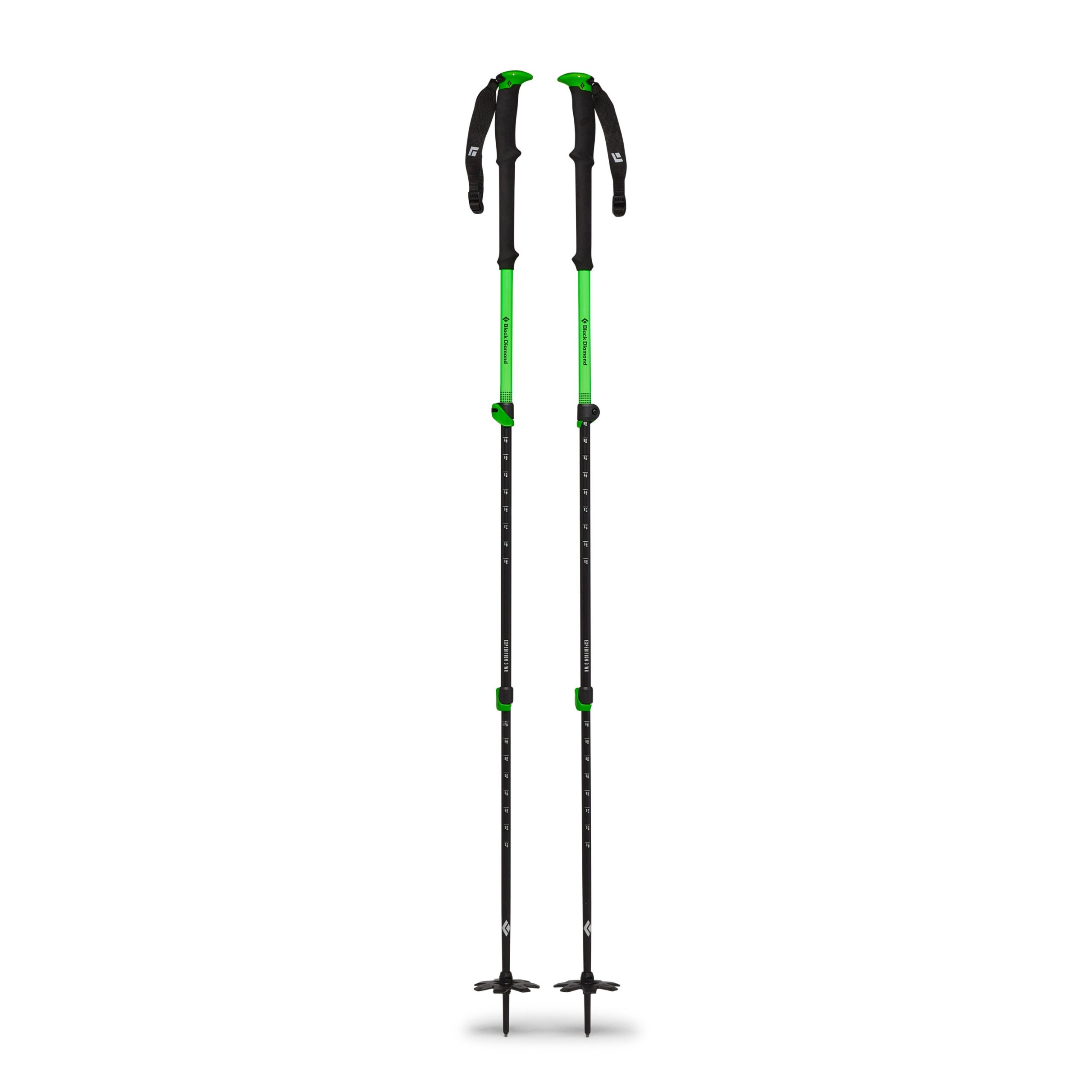 Expedition WR 3 Ski Poles - Image 2